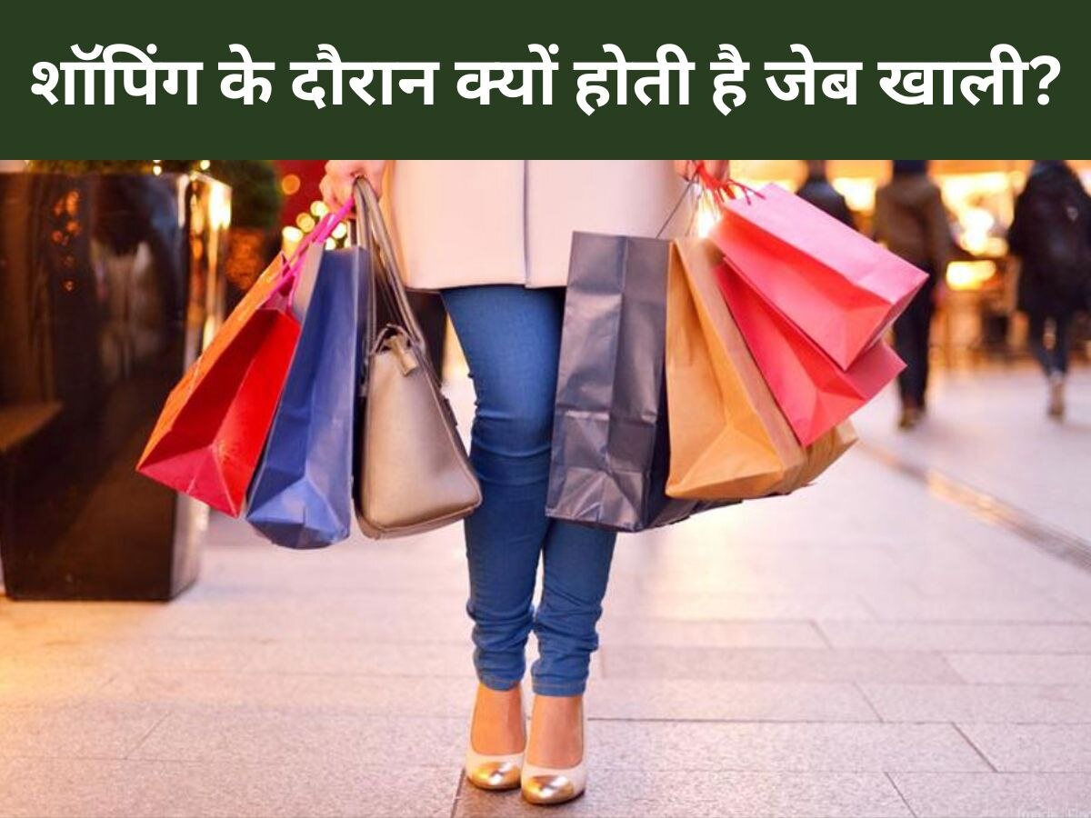Shopping Mistakes: शॉपिंग करते वक्त इन 4 गलतियों से जरूर बचें, वरना कहीं पर्स न हो जाए खाली