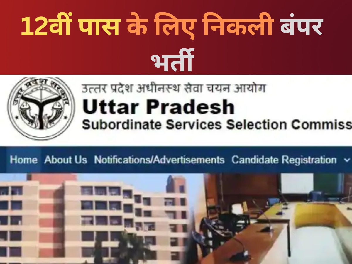 UPSSSC Recruitment 2023: 12वीं पास के लिए सुनहरा मौका, जूनियर असिस्टेंट और क्लर्क के पदों पर निकली बंपर भर्ती