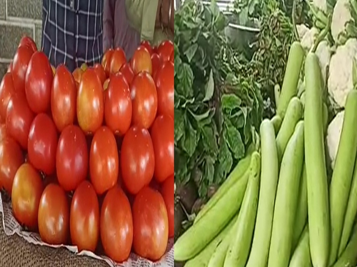  Punjab News: पठानकोट में तेजी से बढ़ रहे सब्जी के दाम, जानें क्या है रेट बढ़ने का बड़ा कारण  