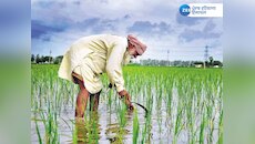 जानिए दुनिया में सबसे ज्यादा कृषि श्रमिकों की संख्या कौन से देश में है 