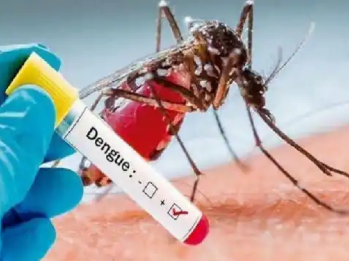 Dengue Remedies: बारिश में तेजी से फैलता है डेंगू, जानें लक्षण और बचाव के घरेलू उपचार