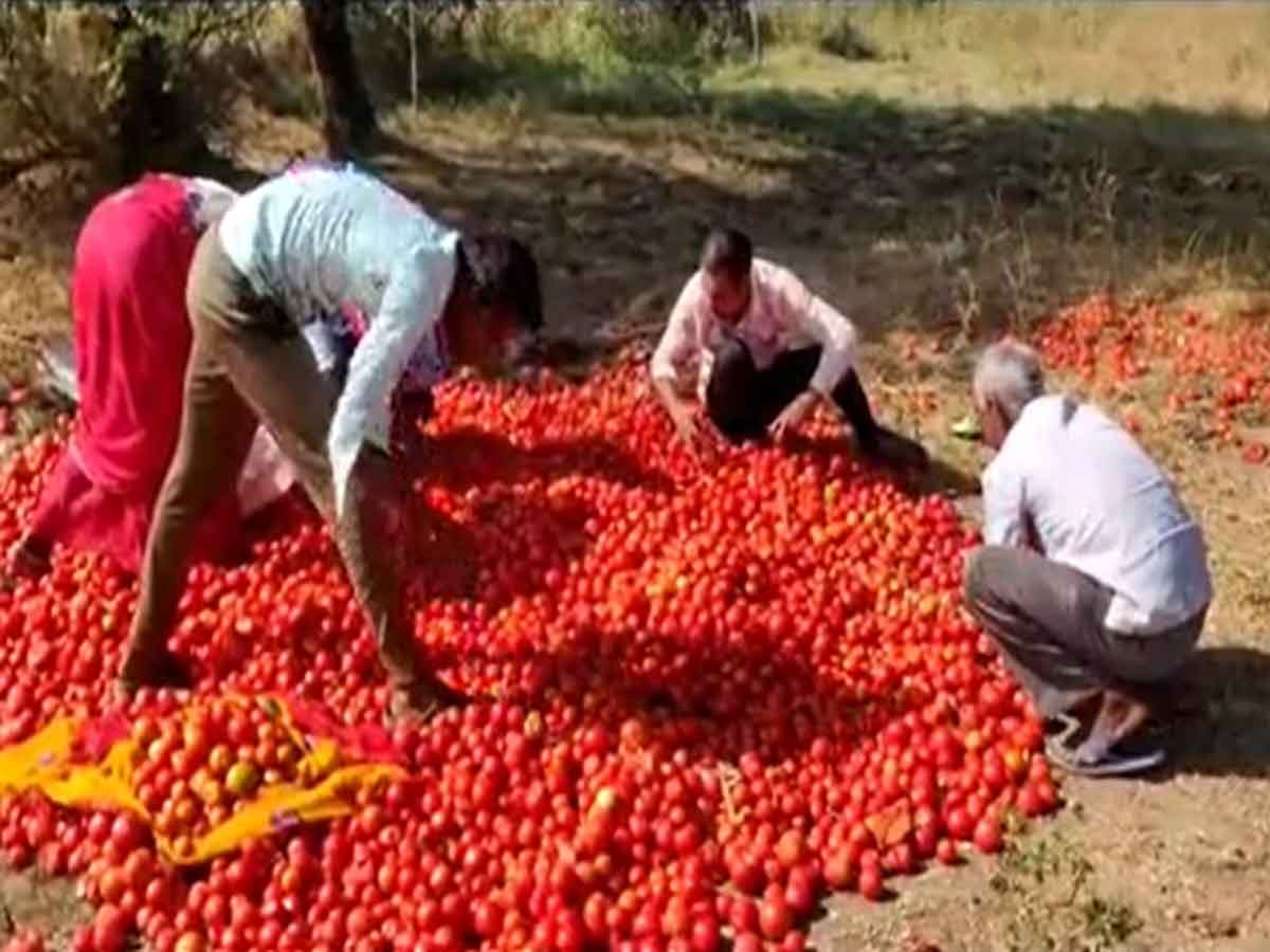 Tomato Price Hike: दुर्ग में रुला रही टमाटर की कीमत, रिकॉर्ड तोड़ महंगी हुई सब्जियां