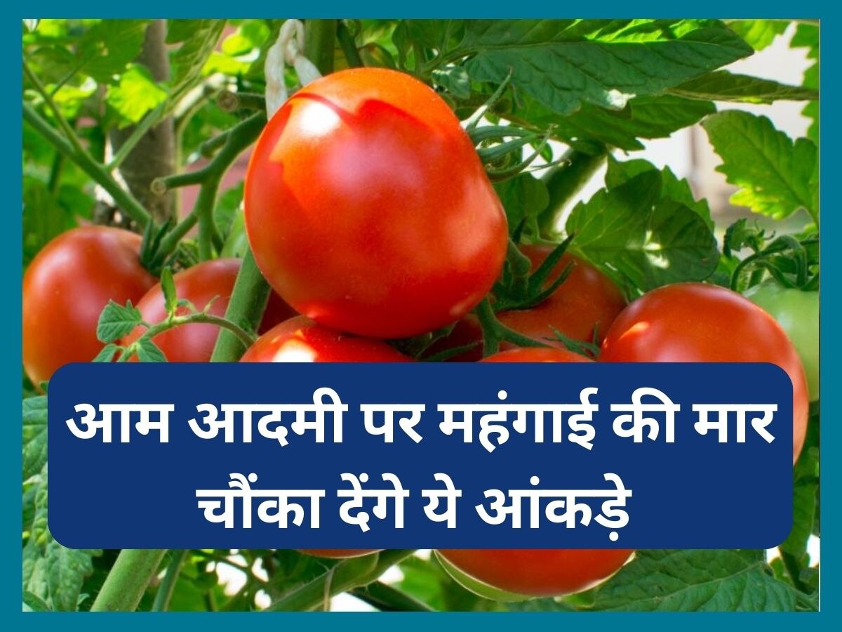 Tomato Price: आम आदमी पर महंगाई की मार जारी, 28% महंगी हुई शाकाहारी थाली, चौंका देंगे ये आंकड़े