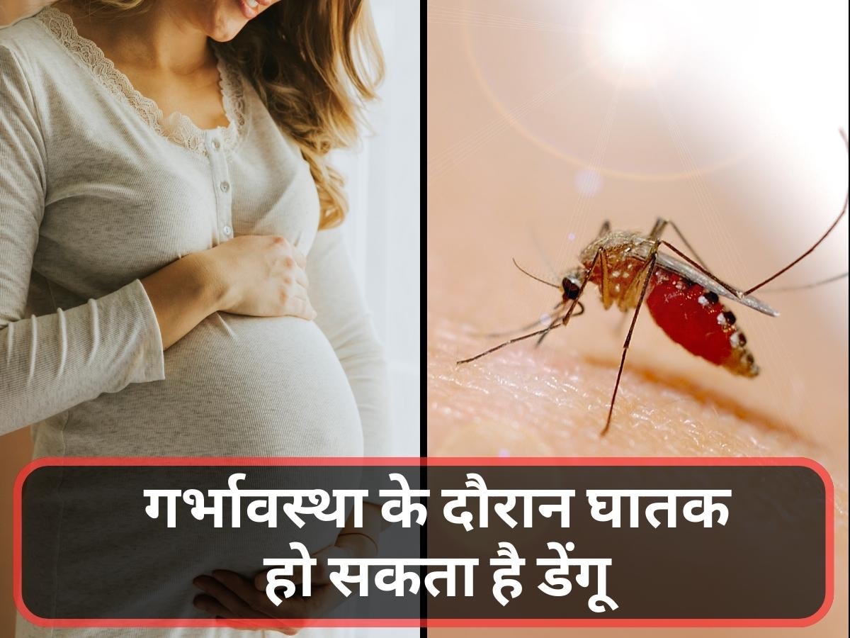 Dengue During Pregnancy: गर्भावस्था के दौरान घातक हो सकता है डेंगू, जानिए लक्षण, कॉम्प्लिकेशन और बचाव के तरीके