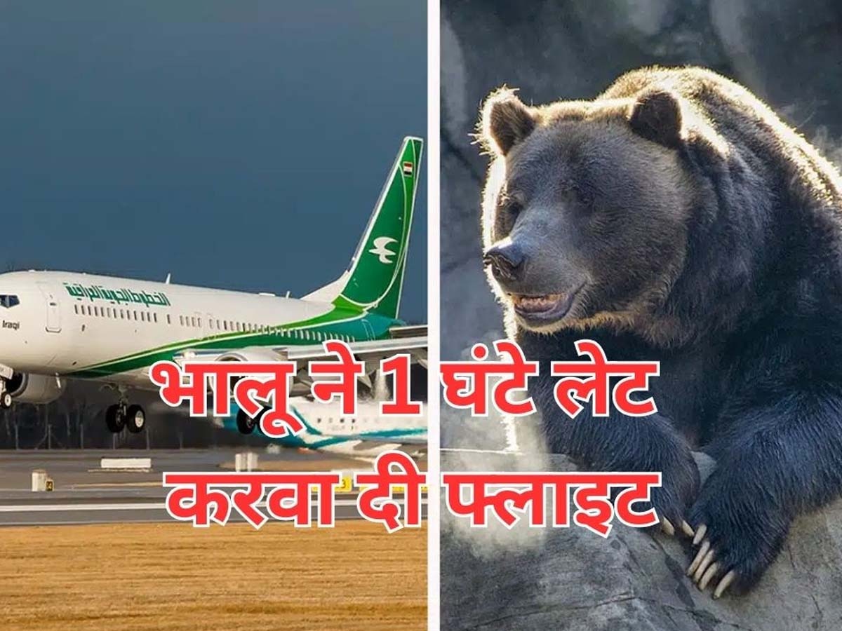 Bear Delays Flight: भालू ने रुकवा दिया फ्लाइट का टेक ऑफ, एक घंटा लेट हो गई उड़ान; आखिर कहां हुई ये अनोखी घटना