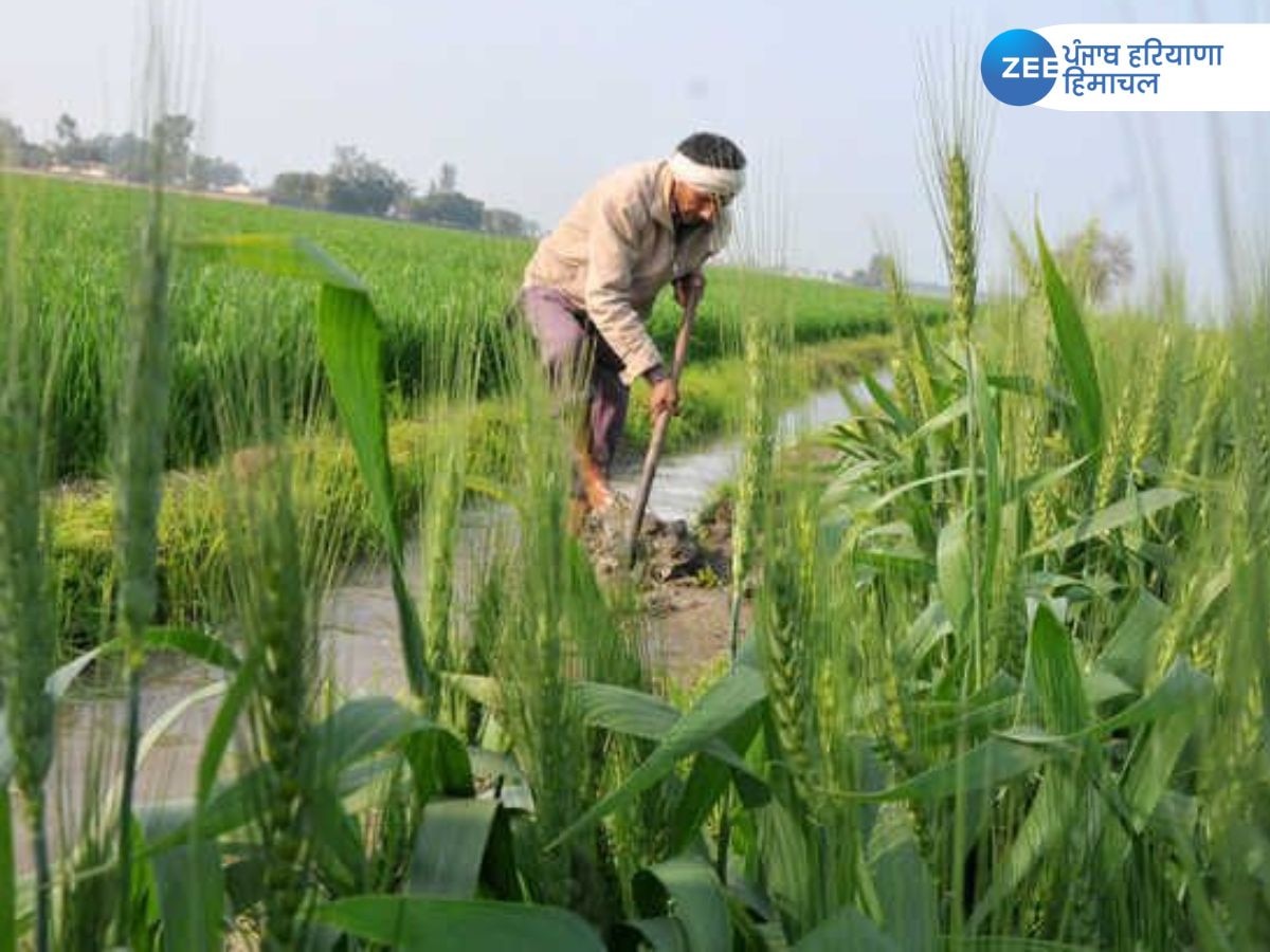 PM Kisan Nidhi Yojana: ਹਰਿਆਣਾ ਵਿੱਚ ਪੰਜਾਬ ਨਾਲੋਂ ਵੱਧ ਕਿਸਾਨ ਪ੍ਰਧਾਨ ਮੰਤਰੀ ਕਿਸਾਨ ਸਨਮਾਨ ਨਿਧੀ ਯੋਜਨਾ ਵਿੱਚ ਸ਼ਾਮਿਲ 