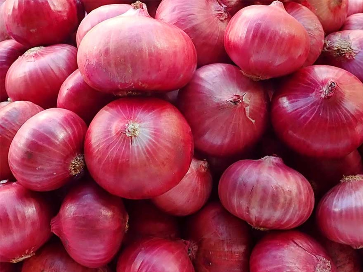 Onion Price: टमाटर के साथ अब लोगों को रूला सकते प्याज के दाम, बढ़ेंगे रेट! 