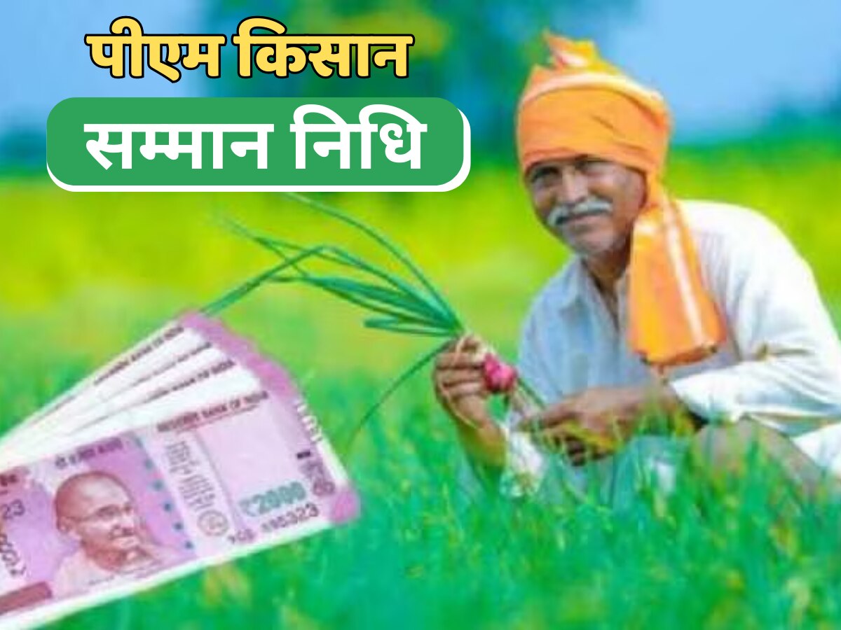 PM Kisan Yojana: 15वीं किस्त को लेकर सरकार की तरफ से आया बड़ा अपडेट, पढ़ें यहां