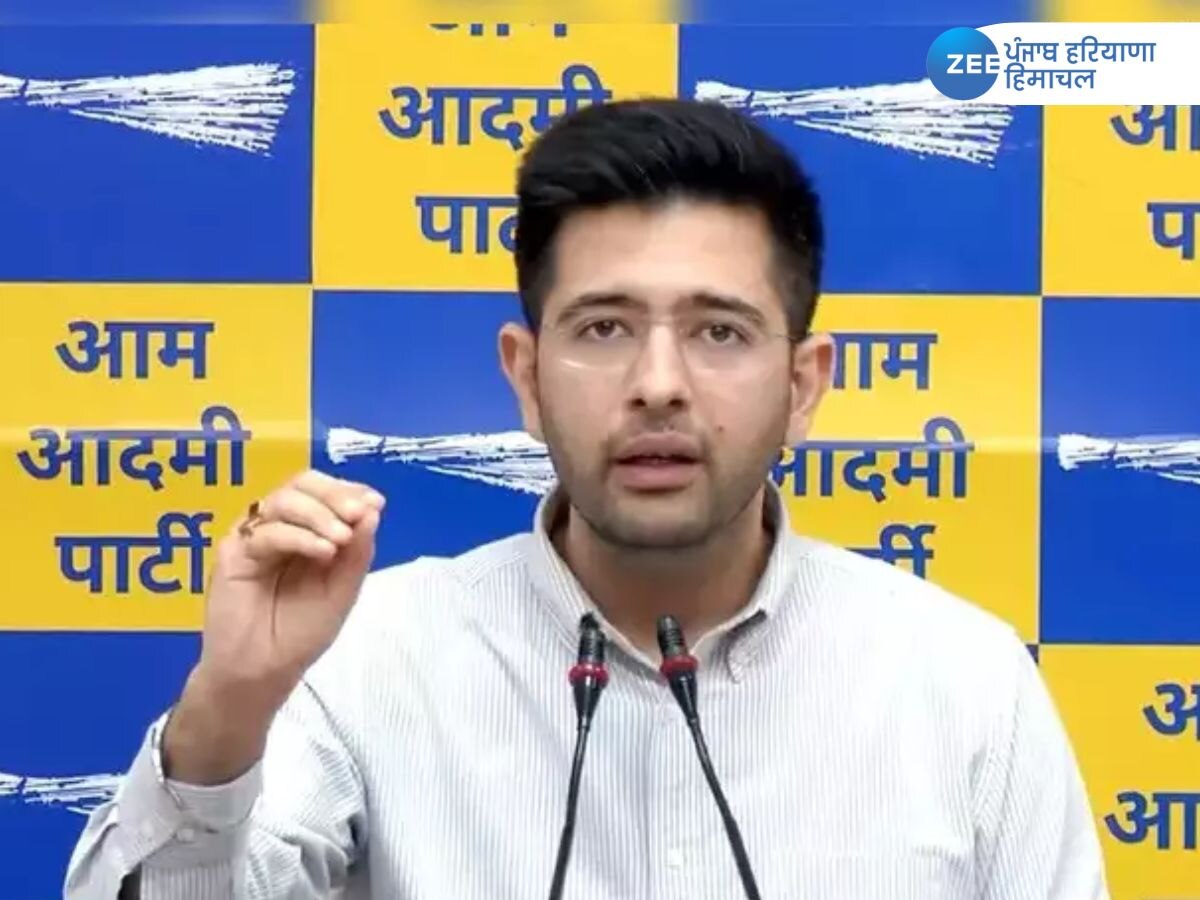 Raghav Chadha News: ਫਰਜ਼ੀ ਦਸਤਖ਼ਤ ਕਰਨ ਦੇ ਇਲਜ਼ਾਮ 'ਤੇ ਰਾਘਵ ਚੱਢਾ ਨੇ ਭਾਜਪਾ ਨੂੰ ਦਿੱਤੀ ਕਾਗਜਾਤ ਪੇਸ਼ ਕਰਨ ਦੀ ਚੁਣੌਤੀ  