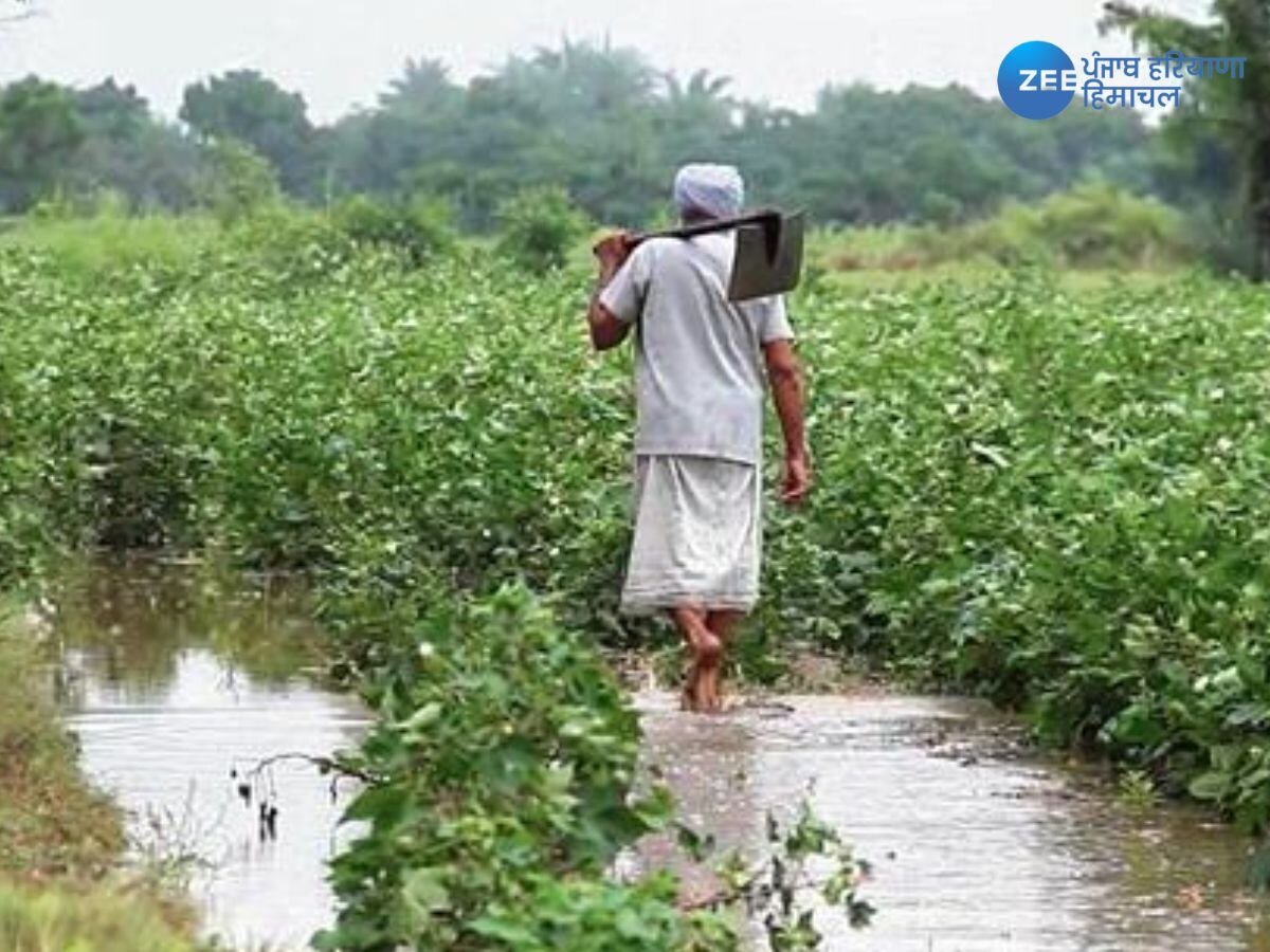 Punjab Farmers Debt Burden: ਦੇਸ਼ ਭਰ 'ਚੋਂ ਪੰਜਾਬ ਦੇ ਕਿਸਾਨਾਂ ਉਪਰ ਕਰਜ਼ੇ ਦੀ ਪੰਡ ਸਭ ਤੋਂ ਭਾਰੀ