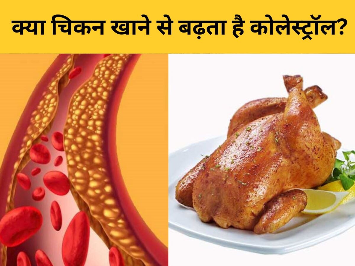 Chicken से Cholesterol में इजाफा होगा या नहीं? पहले जान लें सच, फिर करें खाने का फैसला