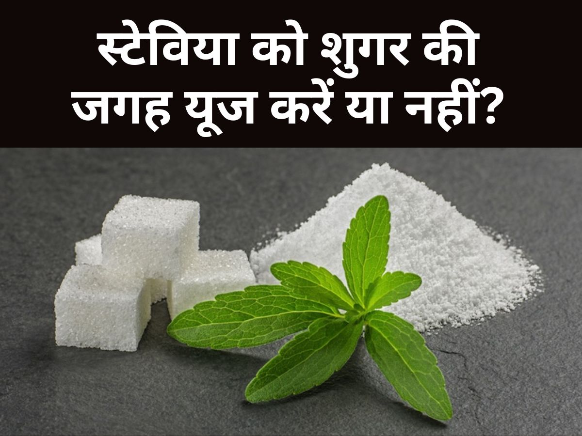 Is stevia a good substitute for sugar Know Its Benefits And