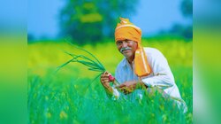  शिवराज सरकार किसानों को देती है 4 हजार रुपये! जल्द मिलेगी राशि, ऐसे करें आवेदन