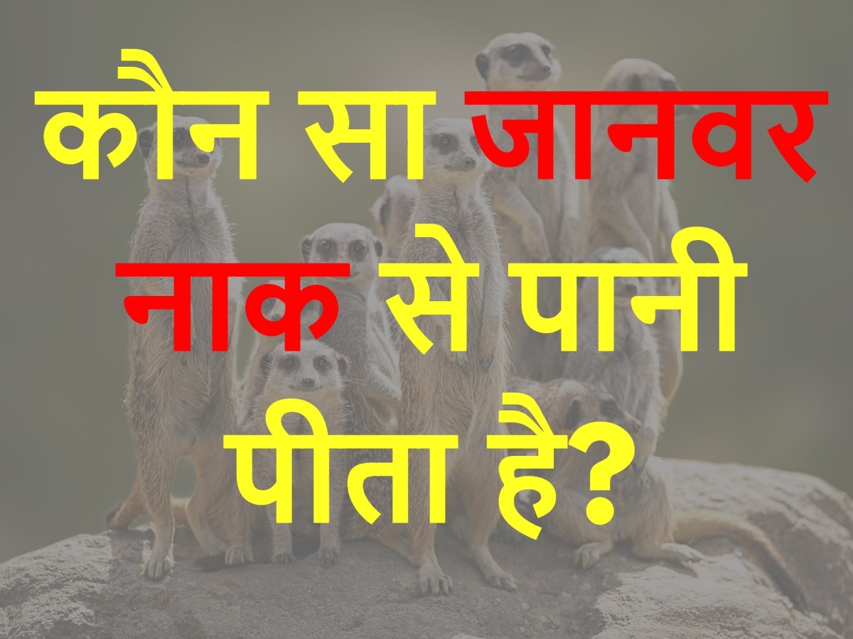 Quiz: कौन सा जानवर नाक से पानी पीता है?