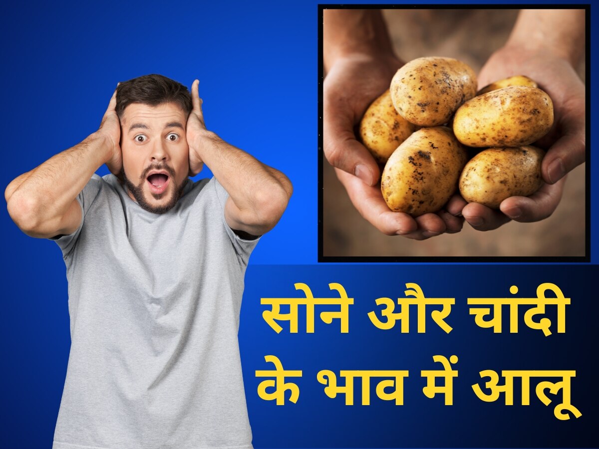 World's Costliest Potato: सोने और चांदी के भाव बिकता है ये आलू, साल में सिर्फ 10 दिन होती है बिक्री