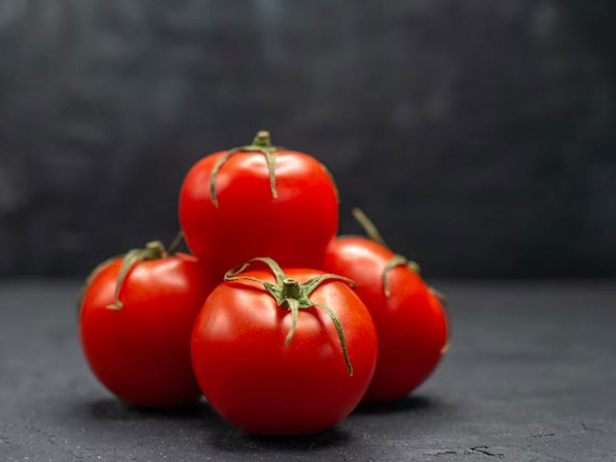 Tomato Price: टमाटर पर आ गया बड़ा अपडेट, यहां से सप्लाई हुए टमाटर तो कम हो सकते हैं दाम, लेकिन...