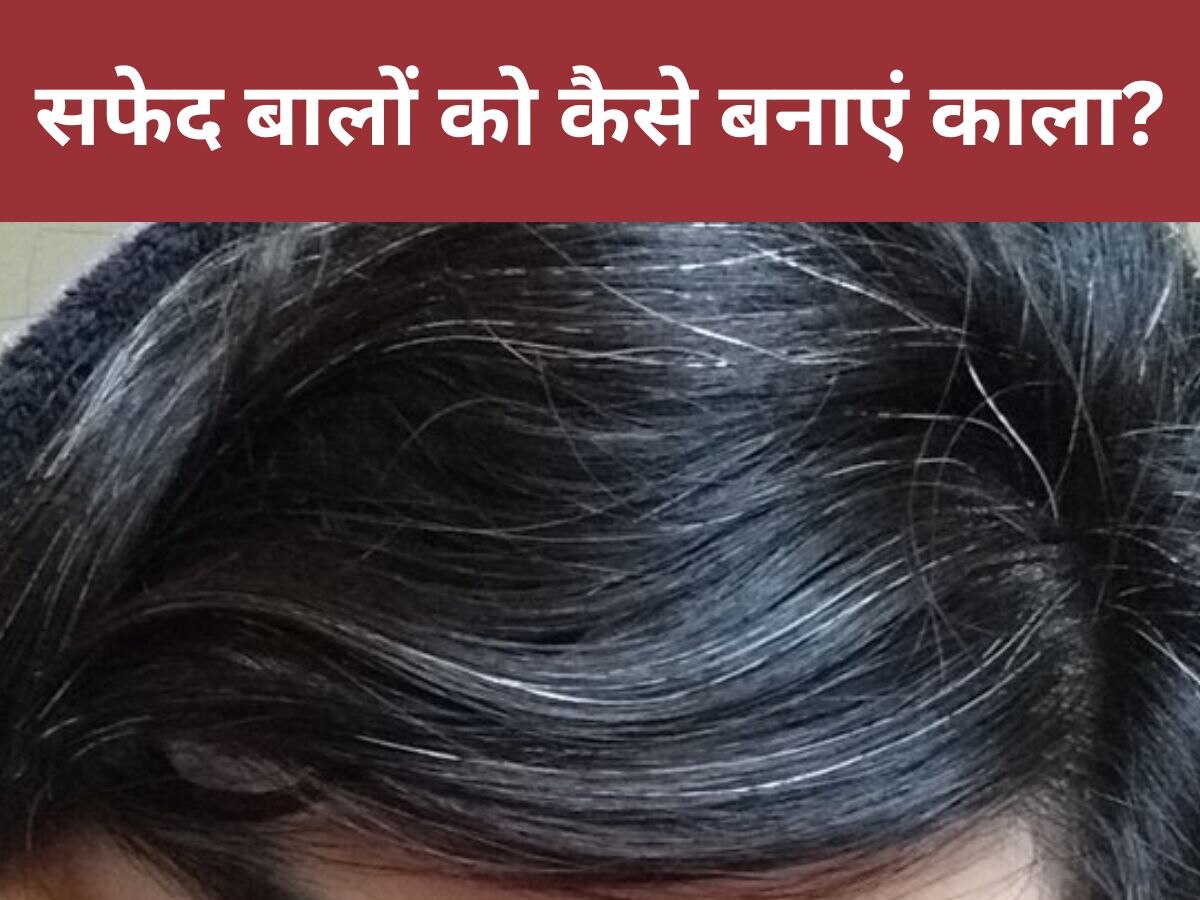 White Hair: यंग एज में सिर पर आने लगे व्हाइट हेयर? इस तरह चायपत्ती लगाने से बाल फिर से होंगे काले