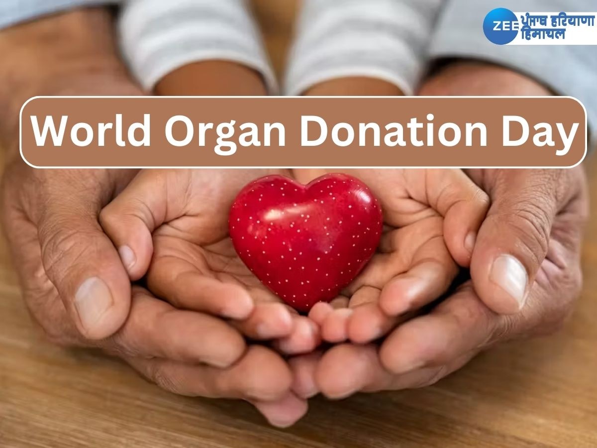 World Organ Donation Day: ਅੰਗ ਦਾਨ ਹੈ ਸਭ ਤੋਂ ਵੱਡਾ ਜੀਵਨ ਦਾਨ! ਜੇਕਰ ਤੁਸੀਂ ਵੀ ਕਿਸੇ ਦੀ ਬਚਾਉਣਾ ਚਾਹੁੰਦੇ ਹੋ ਜਾਨ ਤਾਂ ਜਾਣੋ ਕੁਝ ਖਾਸ ਗੱਲਾਂ