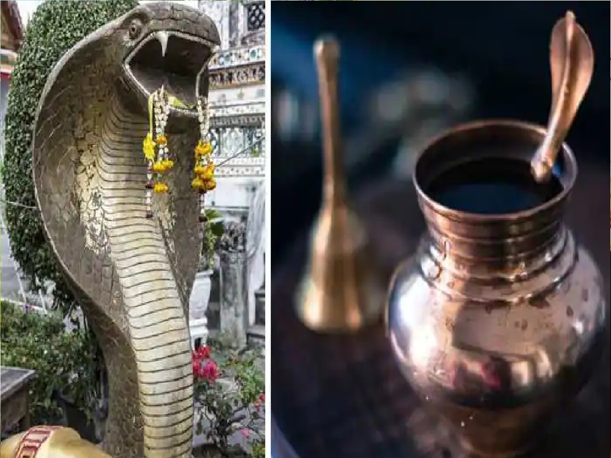 Nag Panchami 2023 (फाइल फोटो)