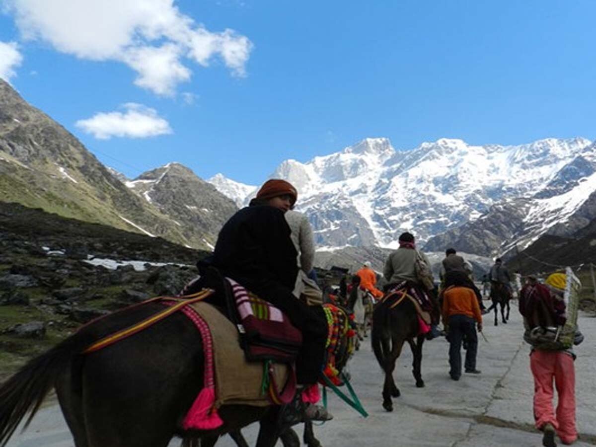 घोड़ा—खच्चरों से ज्यादा काम कराना पड़ेगा महंगा, कोर्ट से मिलेगी ये सजा