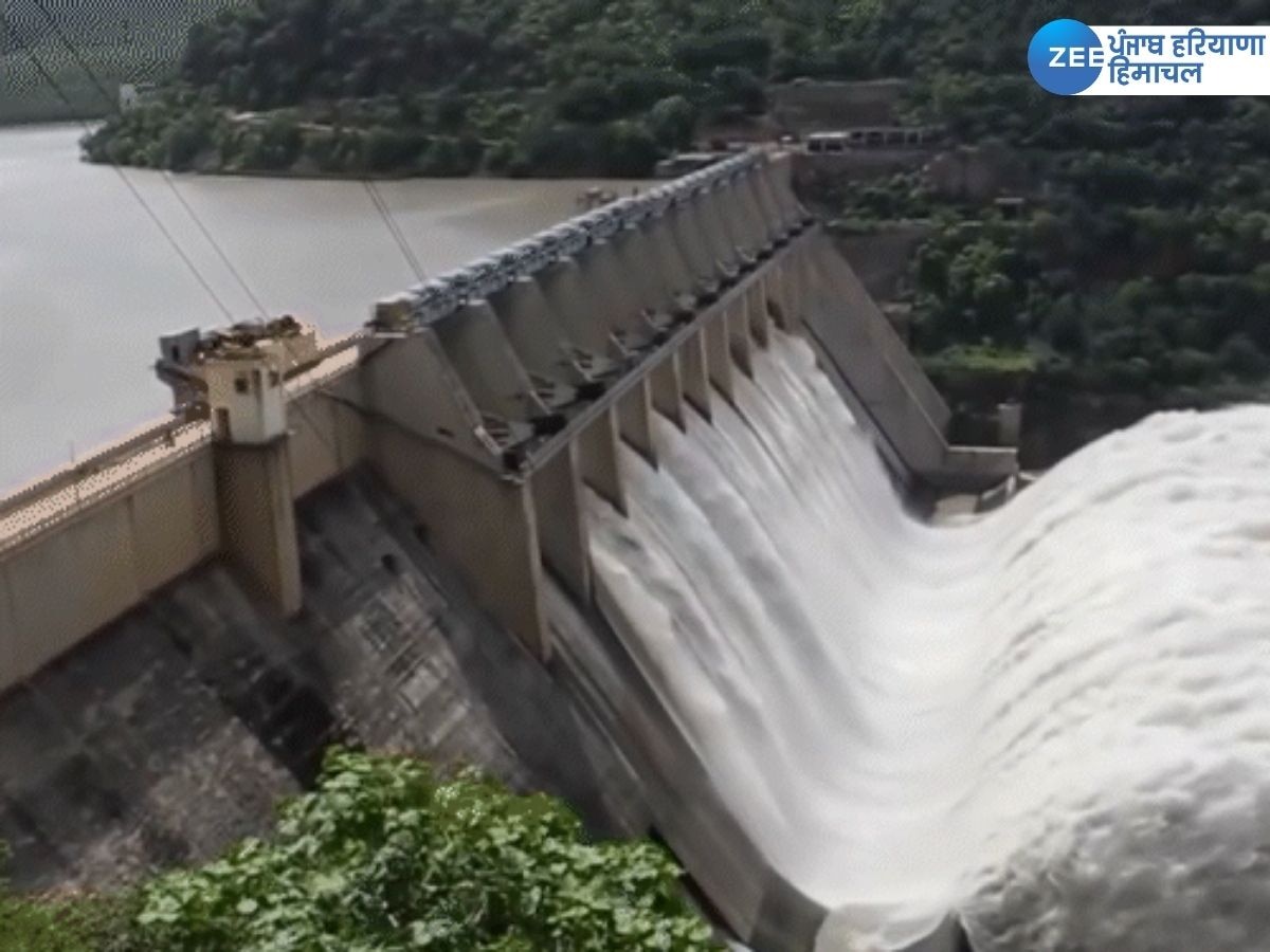 Bhakra Dam Flood Gate: ਪੰਜਾਬ 'ਚ ਫਿਰ ਵੱਜੀ ਖ਼ਤਰੇ ਦੀ ਘੰਟੀ! ਭਾਰੀ ਮੀਂਹ ਤੋਂ ਬਾਅਦ ਭਾਖੜਾ ਡੈਮ ਦੇ ਖੋਲ੍ਹੇ ਗਏ ਫਲੱਡ ਗੇਟ! 