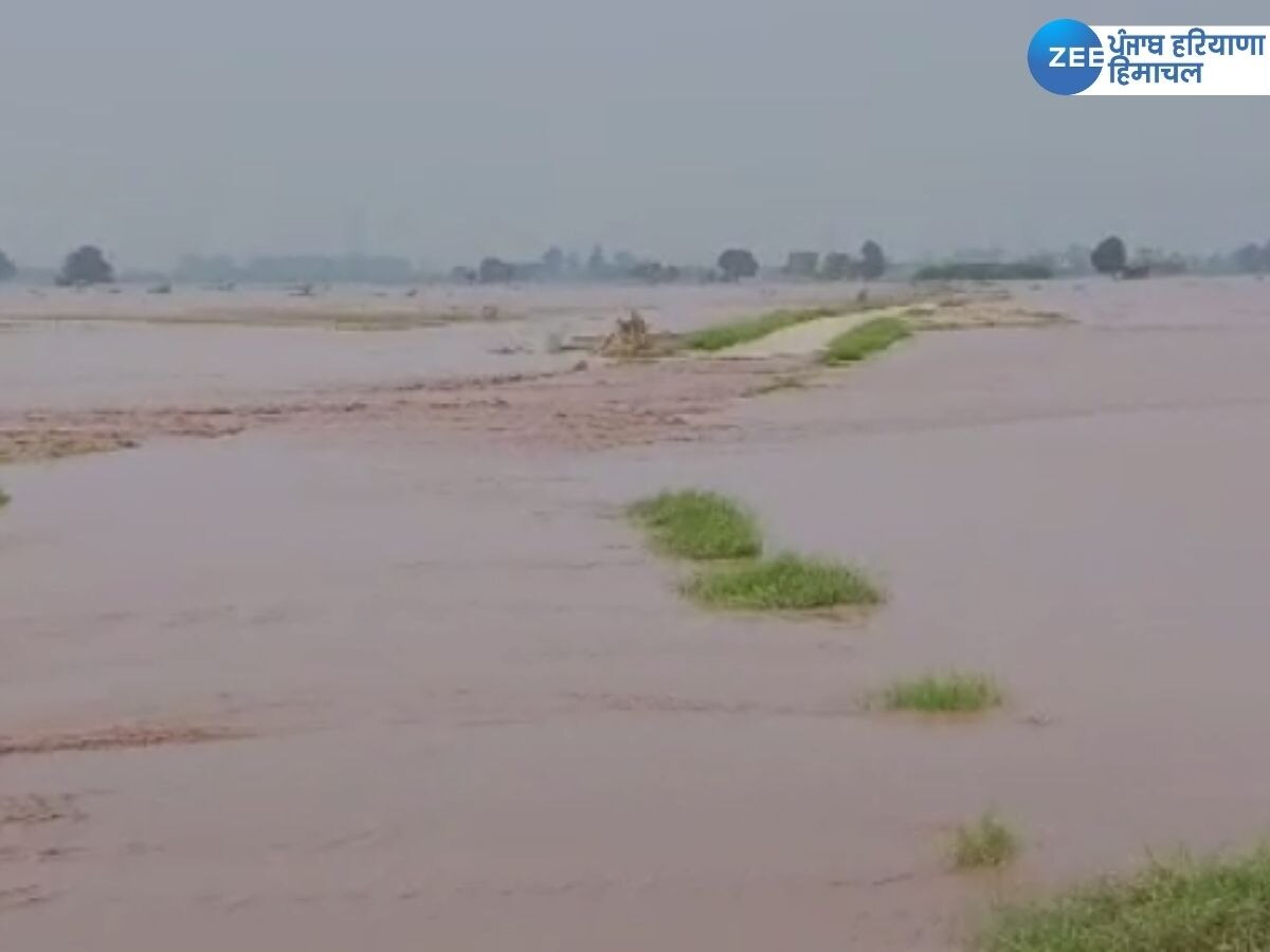 Ghaggar Water Level News: ਲਗਾਤਾਰ ਮੀਂਹ ਪੈਣ ਤੋਂ ਬਾਅਦ ਮੁੜ ਘੱਗਰ ਉਫ਼ਾਨ 'ਤੇ, ਕਿਸਾਨ ਚਿੰਤਤ 