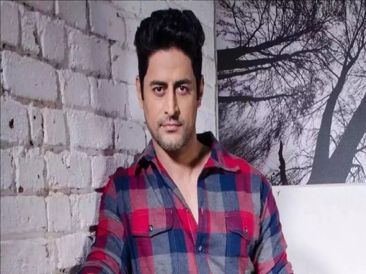 Mohit Raina