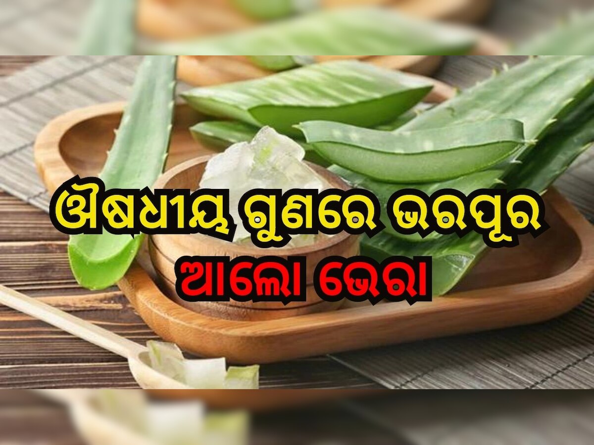 ସାଙ୍କେତିକ ଫଟୋ: Health Benefits of Aloe vera