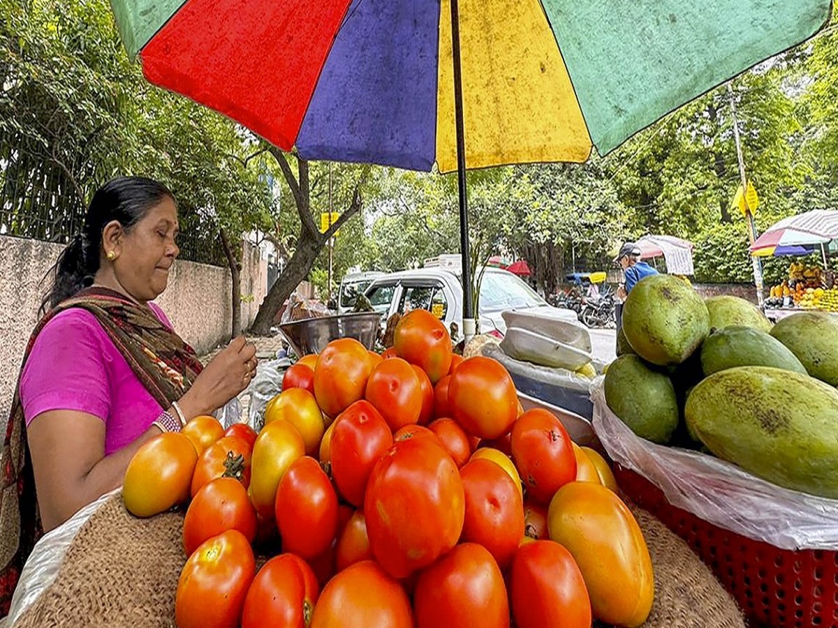 Tomato Price: महंगे टमाटर को लेकर सरकार ने दे दिया ये आदेश, सुनकर आप भी हो जाएंगे खुश