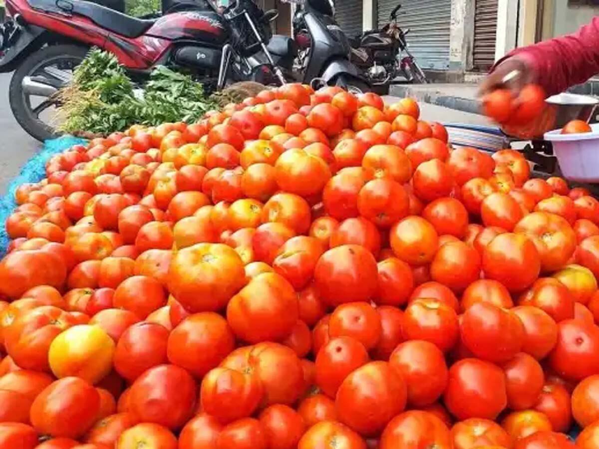 Tomato Price: ଟମାଟୋ ଦରରେ ବୃହତ ହ୍ରାସ, ଆଜି ଠାରୁ ଲାଗୁ ହେଲା ନୂଆ ଦର !