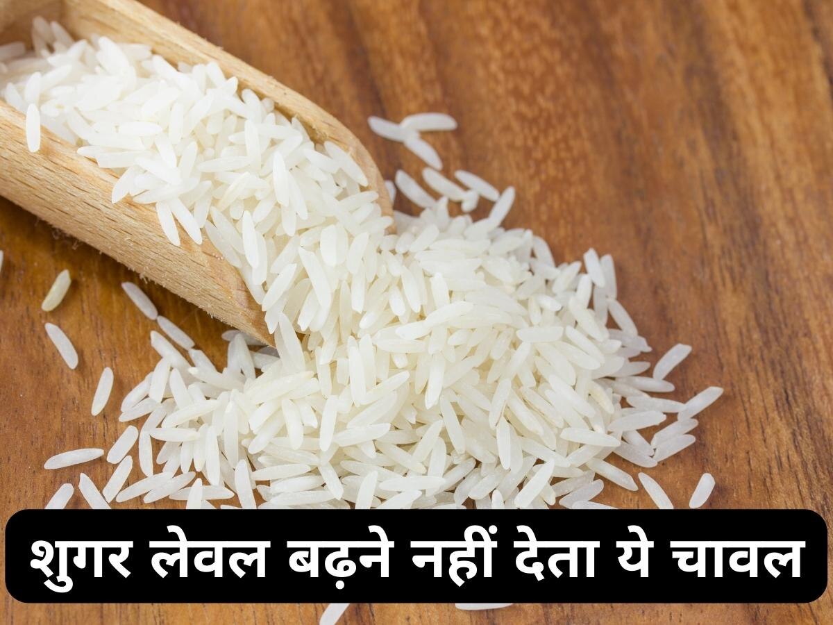 Diabetes Diet: डायबिटीज के मरीज अब बेझिझक खा सकते हैं चावल, ये स्पेशल Rice बढ़ने नहीं देता ब्लड शुगर लेवल