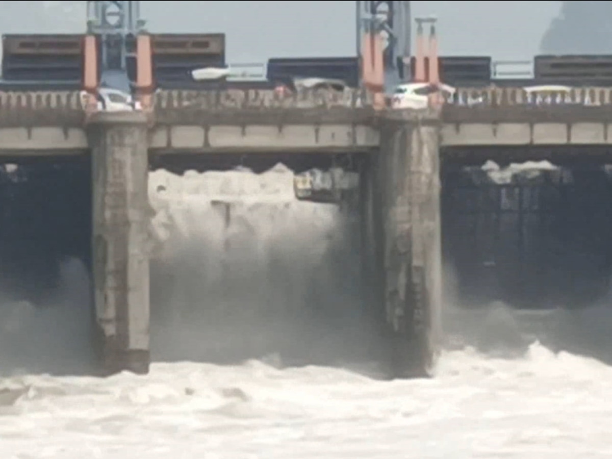 Bhakra Dam News: भाखड़ा बांध में जलस्तर बढ़ने के बाद BBMB ने छोड़ा पानी, लोगों की बड़ी मुश्किलें