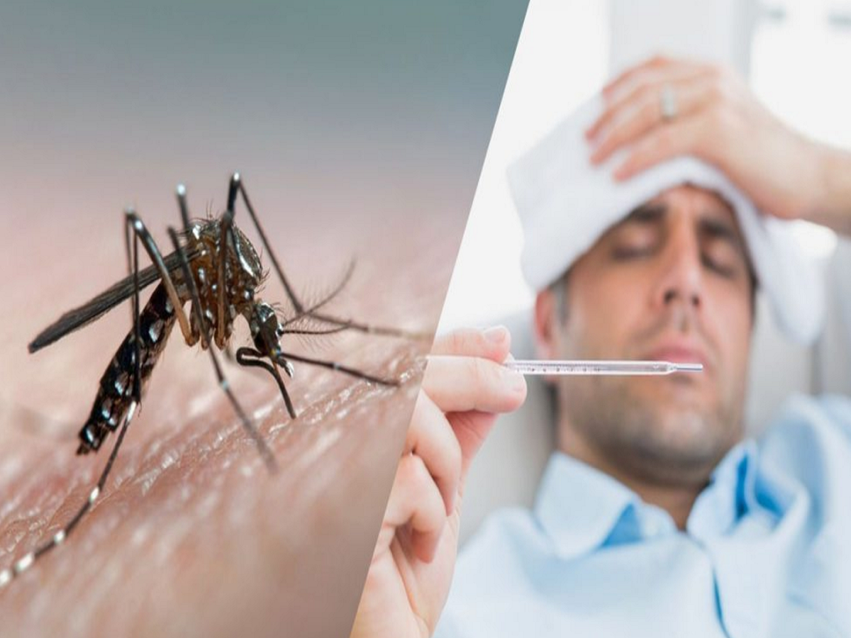Dengue fever is increasing in the Odisha state, know its symptoms ...