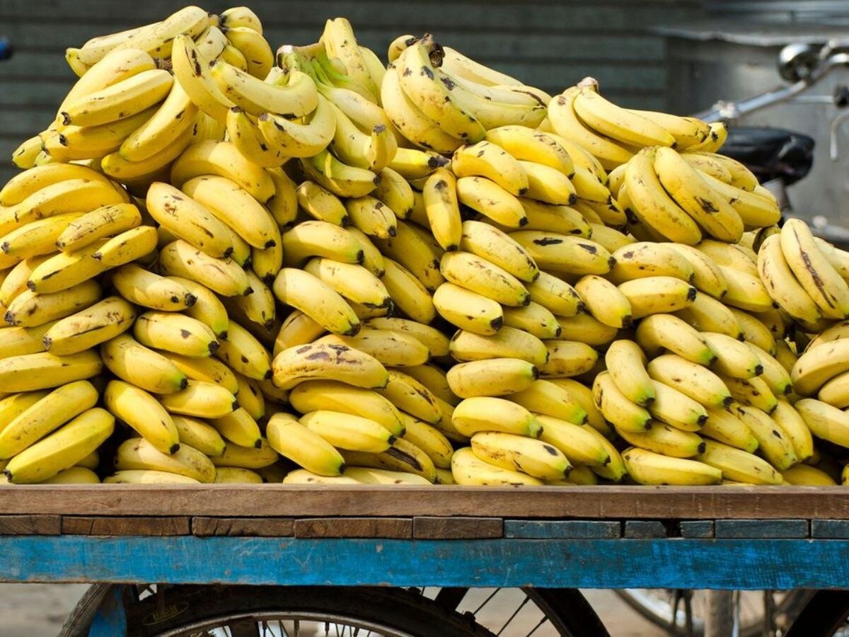 Banana price: ଟମାଟୋ ପରେ ବଢିଲା କଦଳୀ , ୧୦୦ ଅତିକ୍ରମ କଲା ଦର 