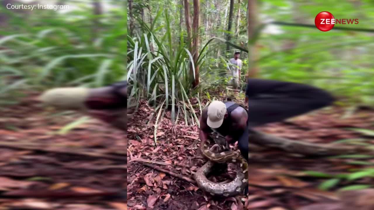 man squeezes 20 foot longest python in amazon forest very chaotic watch ...