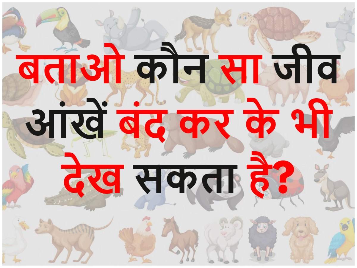 Gk trending Quiz Which animal can see even with closed eyes Gk