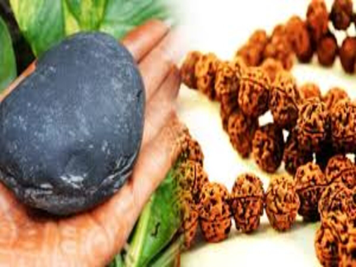 astro tips for shaligram and rudraksha