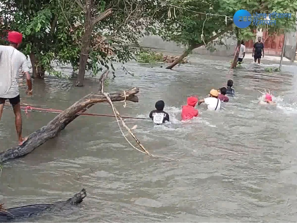Punjab Flood News: ਸਤਲੁਜ ਬਣਿਆ ਆਫਤ; ਕਈ ਪਿੰਡਾਂ 'ਚ ਪਾਣੀ ਵੜ੍ਹਨ ਕਾਰਨ ਸੰਪਰਕ ਟੁੱਟਿਆ