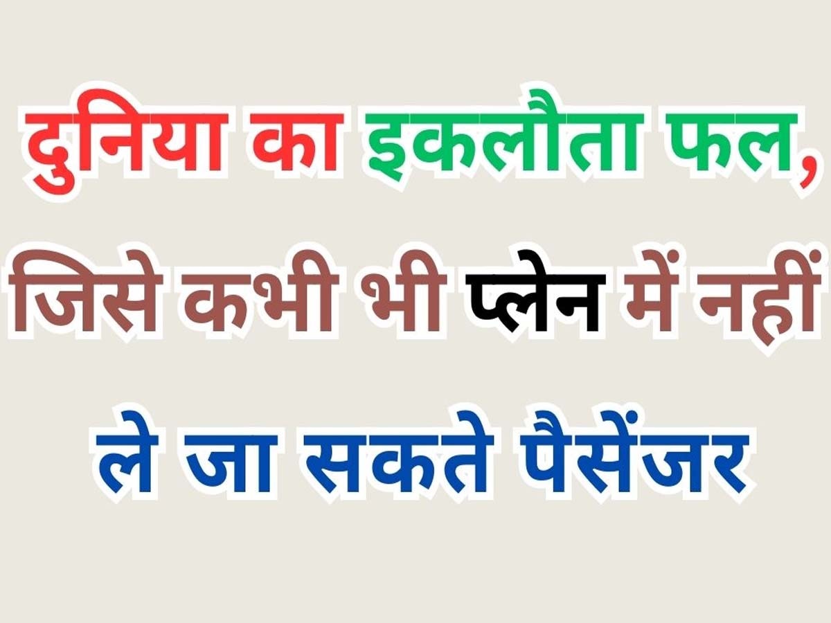 Banned Items in Plane: दुनिया का इकलौता फल, जिसे प्लेन में नहीं ले जा सकते पैसेंजर्स; पकड़े गए तो हो सकती है जेल