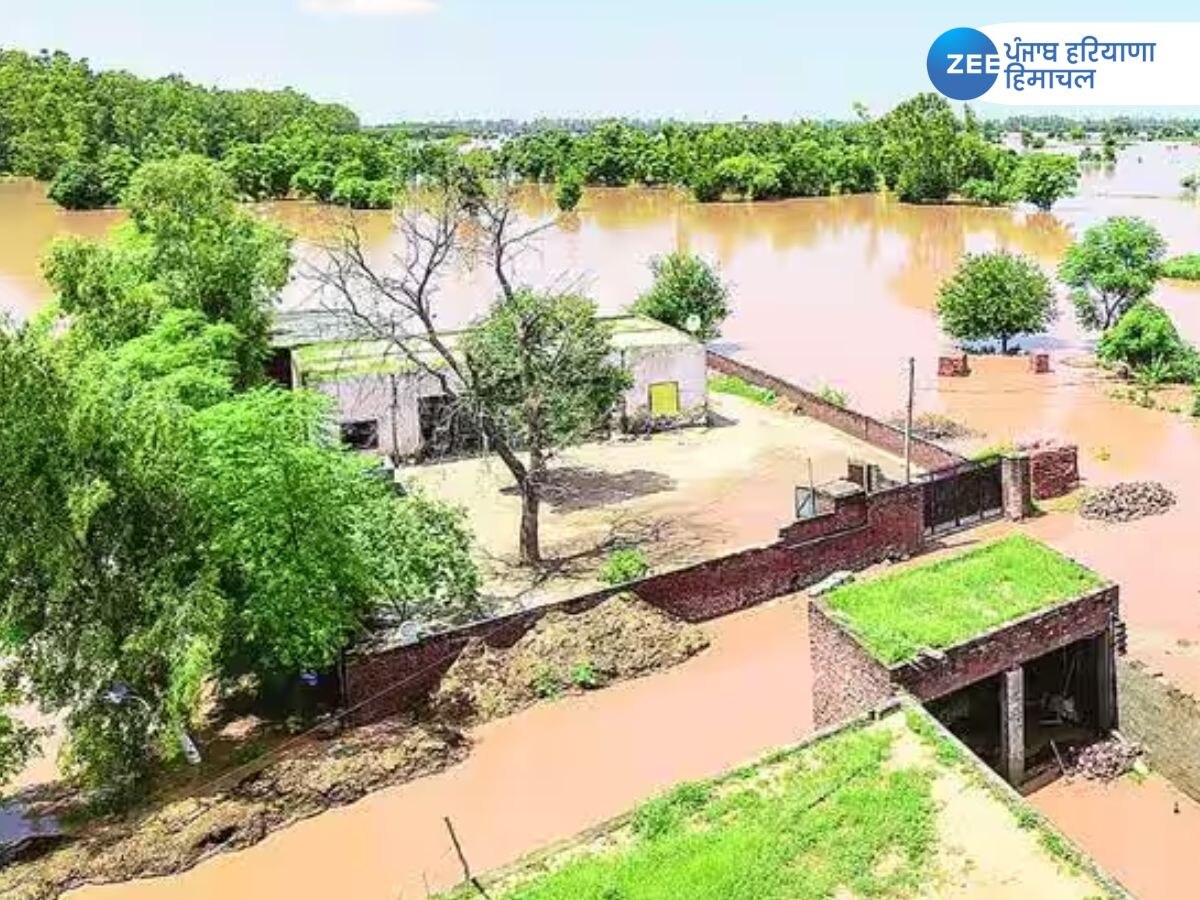 Punjab Flood News: ਪੰਜਾਬ ਦੇ ਕਈ ਇਲਾਕੇ ਅਜੇ ਵੀ ਹੜ੍ਹ ਨਾਲ ਪ੍ਰਭਾਵਿਤ, CM ਮਾਨ ਨੇ ਕਿਹਾ, "ਸਥਿਤੀ ਕੰਟਰੋਲ ਵਿੱਚ ਹੈ" 