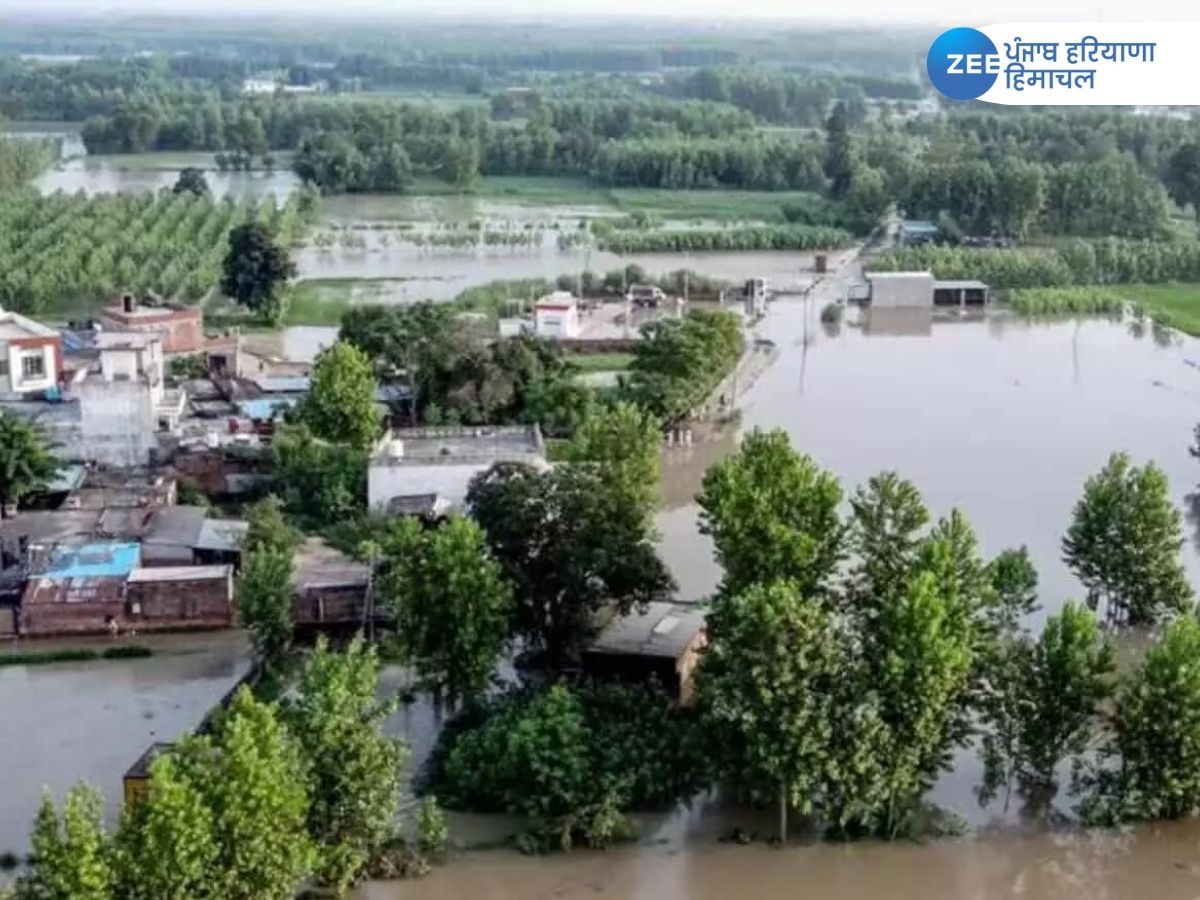 Punjab Flood News LIVE: ਮੁੱਖ ਮੰਤਰੀ ਭਗਵੰਤ ਮਾਨ ਹੁਸ਼ਿਆਰਪੁਰ ਜ਼ਿਲ੍ਹੇ 'ਚ ਹੜ੍ਹ ਪ੍ਰਭਾਵਿਤ ਇਲਾਕੇ ਦਾ ਜਾਇਜ਼ਾ ਲੈਣ ਪੁੱਜੇ