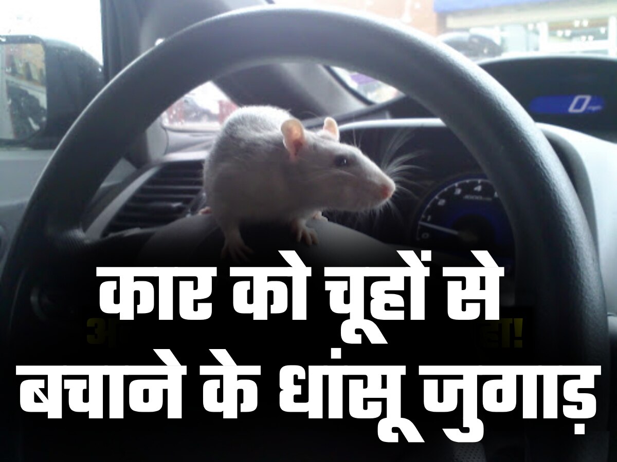 कार को चूहों से बचाने के उपाय