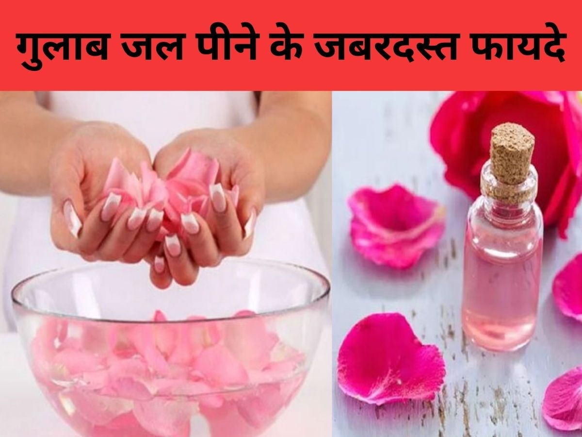 Rose Water: गुलाब जल के इतने फायदे नहीं जानते होंगे आप, शरीर के 4 अंगों के आता है काम