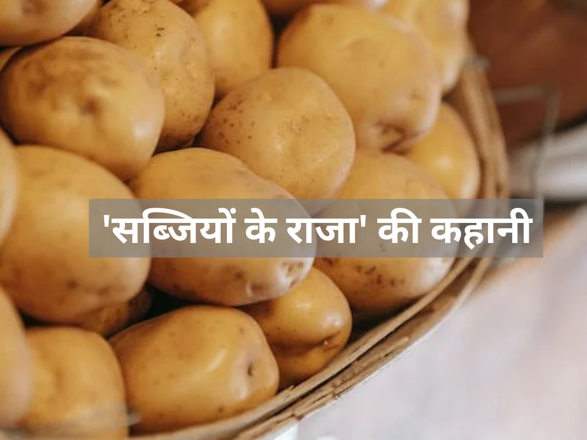 how potato king of vegetables know origin and its history कैसे सब्जियों का राजा बन गया