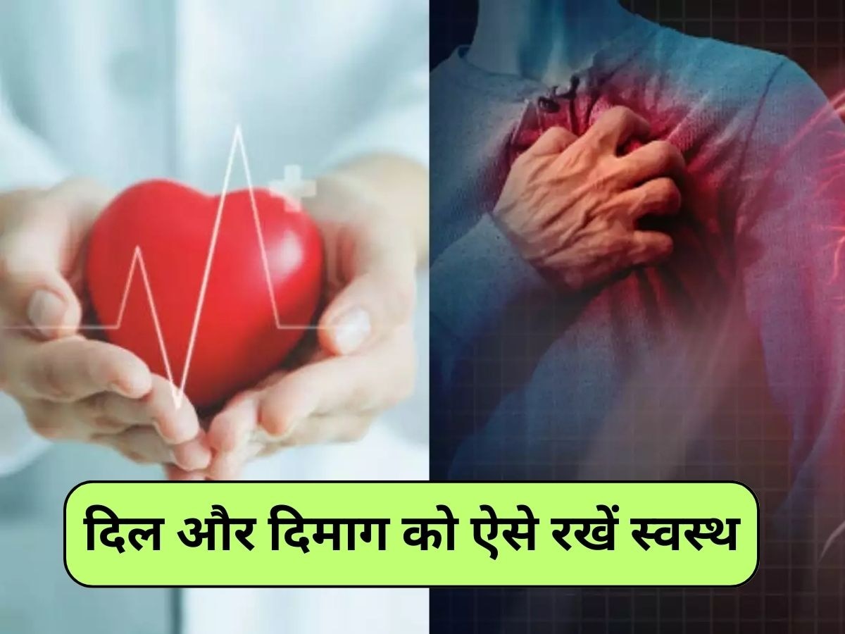 Healthy Tips: दिल का दिमाग से क्या है कनेक्शन? दोनों की सेहत का ध्यान रखने के लिए करें ये 3 काम