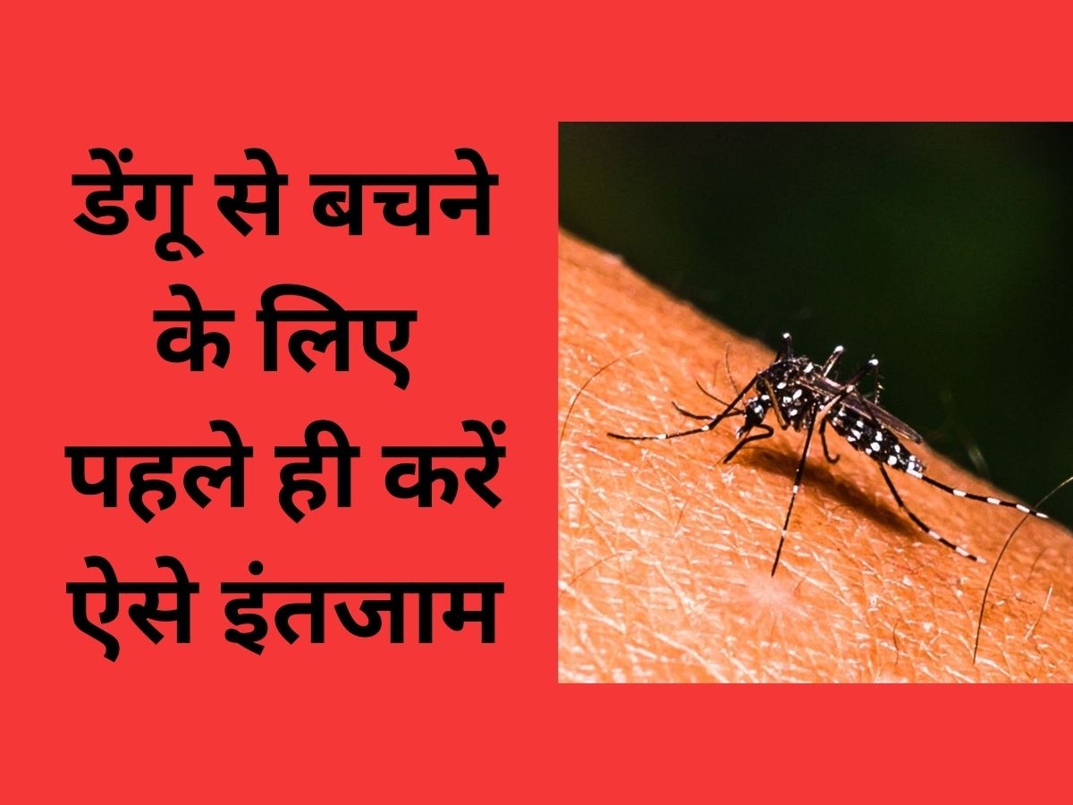 Dengue Fever: मानसून में कहीं आपके अपनों को न हो जाए डेंगू, बचने के लिए तुरंत करें ये इंतजाम