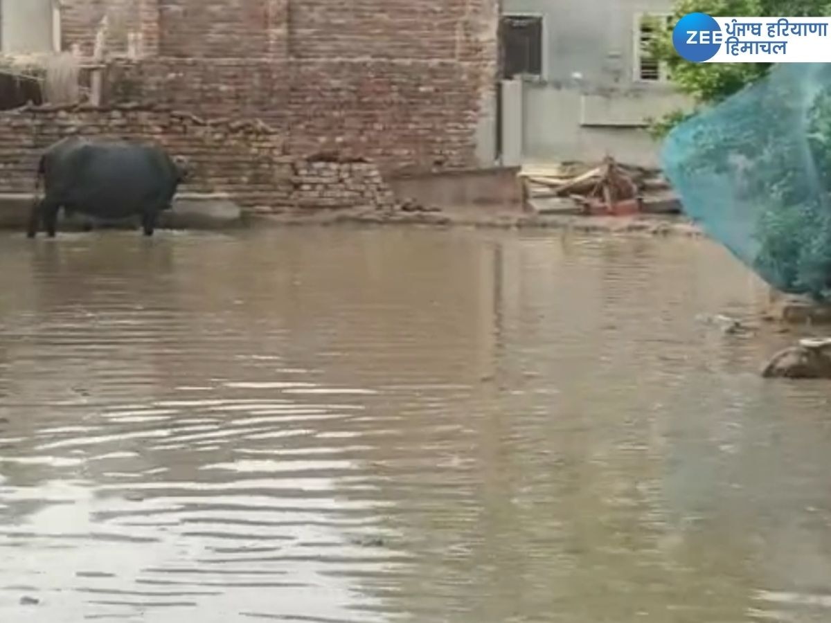 Ferozepur Flood News: ਹੁਣ ਫਿਰੋਜ਼ਪੁਰ ਵਿੱਚ ਵੀ ਹੜ੍ਹ ਦੀ ਮਾਰ, ਸਤਲੁਜ ਨਾਲ ਲੱਗਦੇ ਪਿੰਡ ਹੋਏ ਜਲਮਗਨ