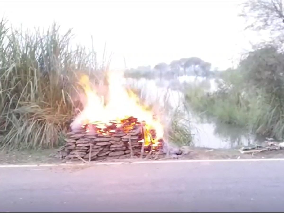 cremation photo