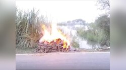 फर्रुखाबाद में सड़क पर चिता जलाने को मजबूर हो रहे लोग, जिला प्रशासन भी बेबस नजर आया