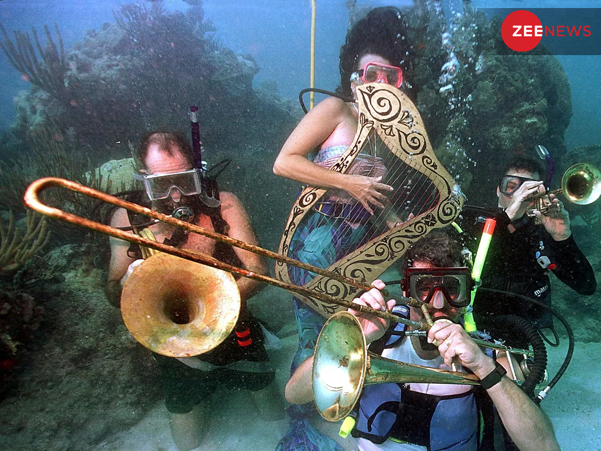 दर्शक उठाते हैं धुनों का आनंद